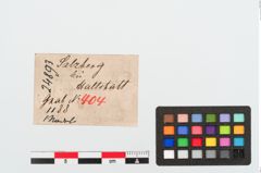 Etiketten zu Bronzekugelkopfnadel (NHMW-PRAE-024893)
